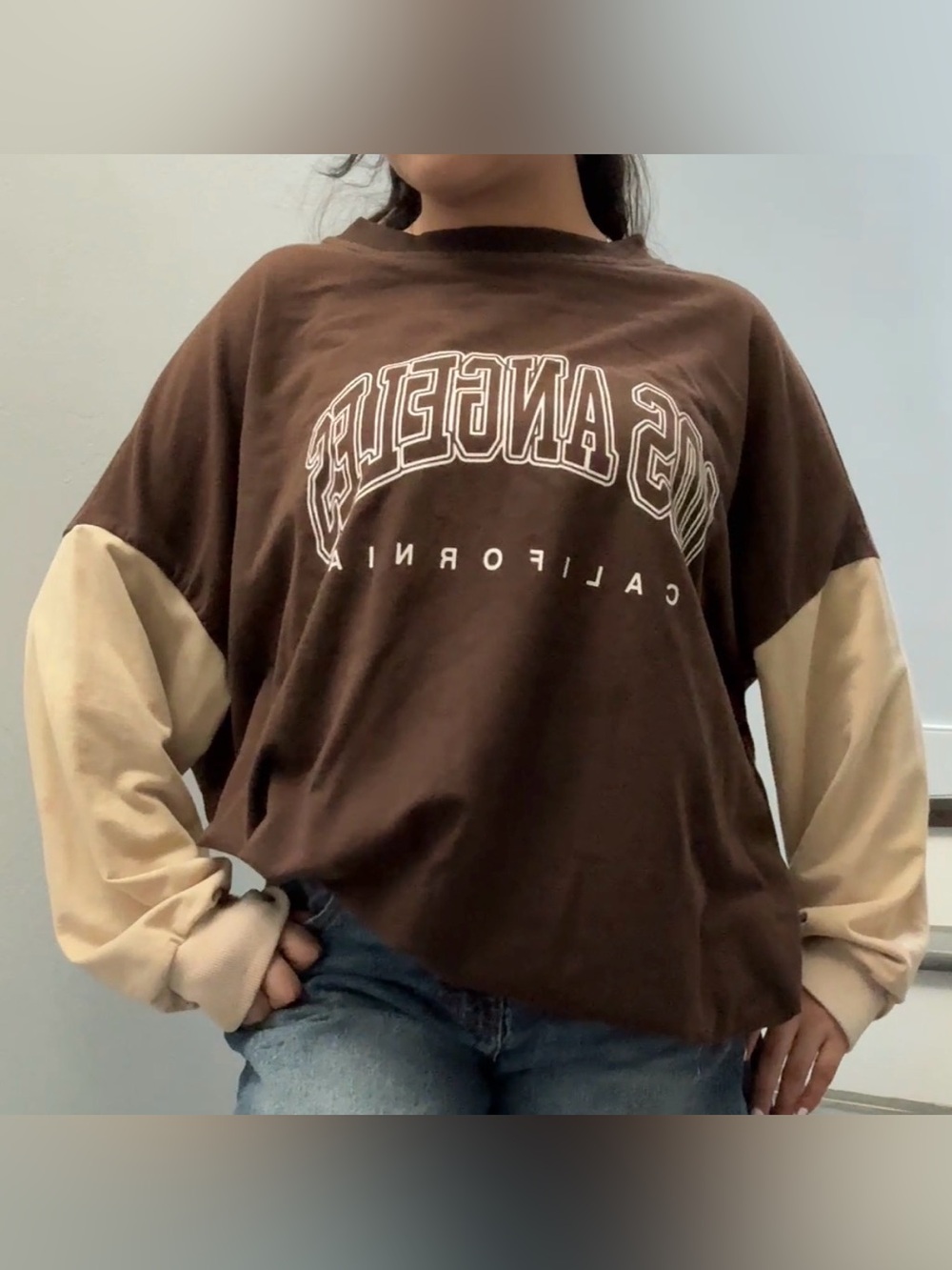 SHEIN Brown Crewneck Sweatshirt with Cream Contrast Sleeves
